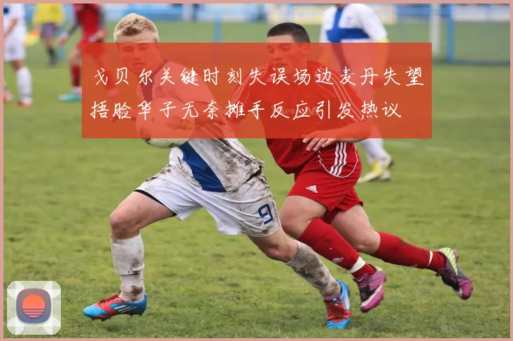 戈贝尔关键时刻失误场边麦丹失望捂脸华子无奈摊手反应引发热议