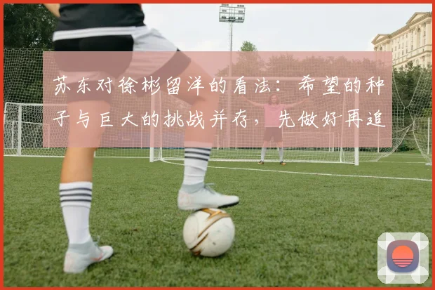 苏东对徐彬留洋的看法：希望的种子与巨大的挑战并存，先做好再追求完美